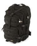STELSO_Spartanec_45_541.jpg